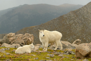 COLORADO HIGH COUNTRY - September 2013
